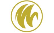 team logo for WYLDE