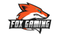 team logo for Fox Gaming