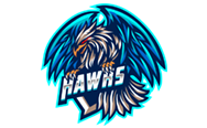 team logo for Hawks